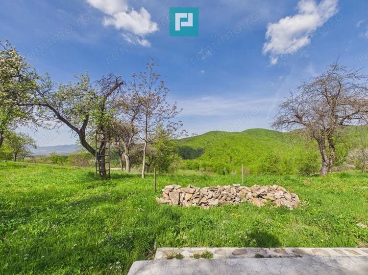 Casă cu Teren 2000 Mp în Dulcele