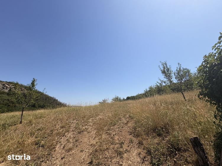 Teren de 3800 mp, în Meseșenii de Jos
