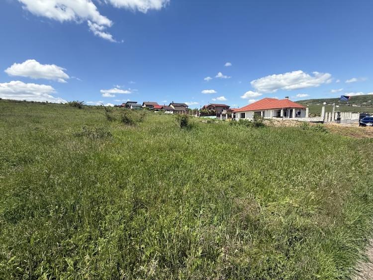 Teren Construcții intravilan de 5800 mp, în Câmpenești