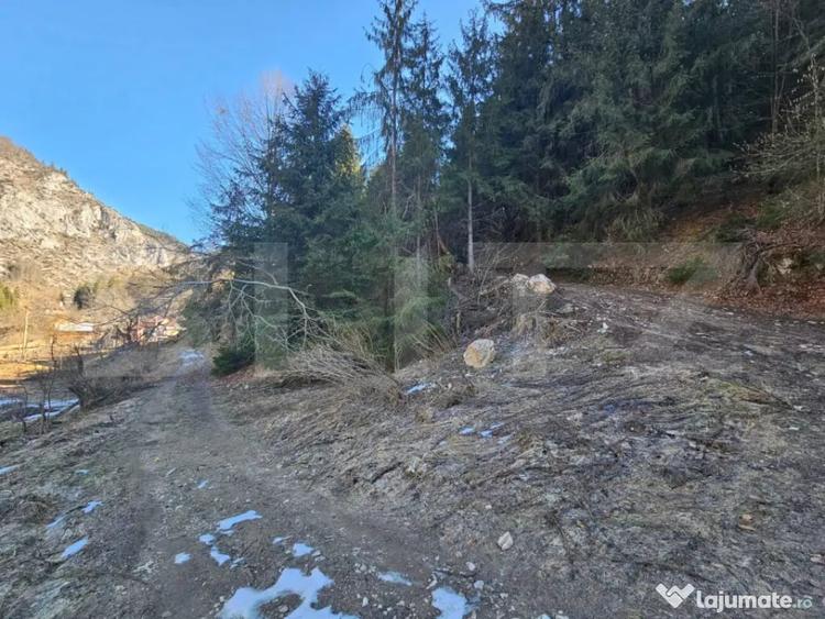 Teren în Scărișoara