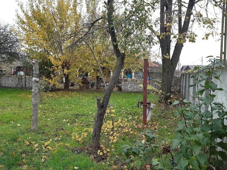 Teren de 2024 mp, în Comani