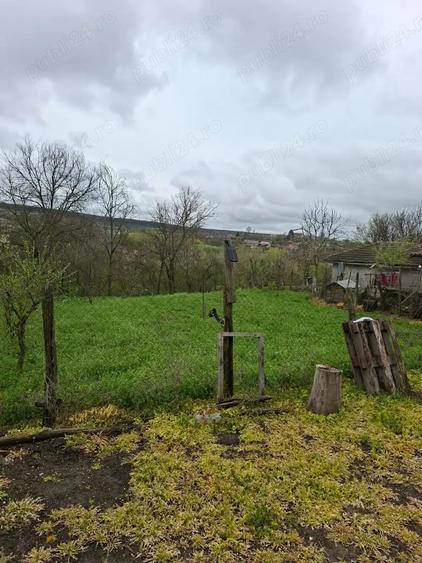 Casă cu 6 camere cu Teren 1900 Mp în Mihai Bravu