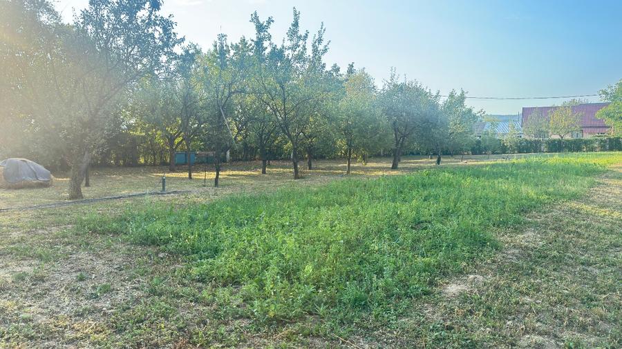 Teren Construcții intravilan de 1200 mp, în Sarasău