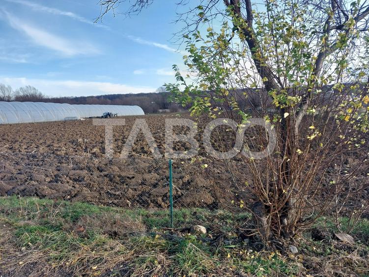 Teren Construcții intravilan de 1687 mp, în Cisnădie