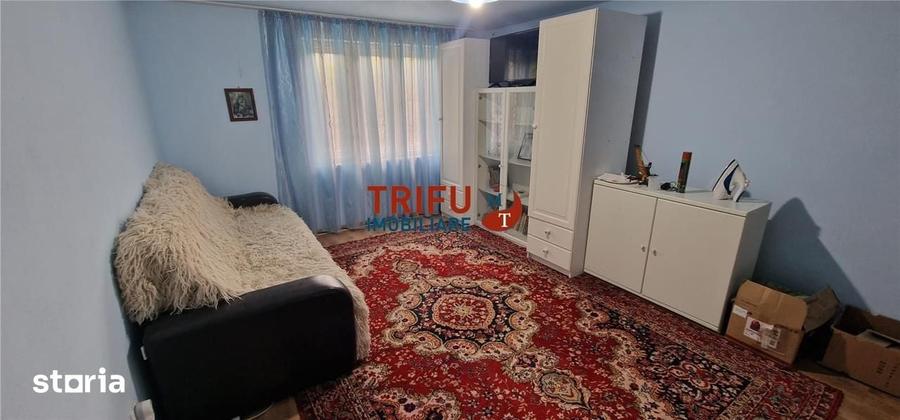 Casă cu 3 camere cu Teren 1338 Mp în Meteș