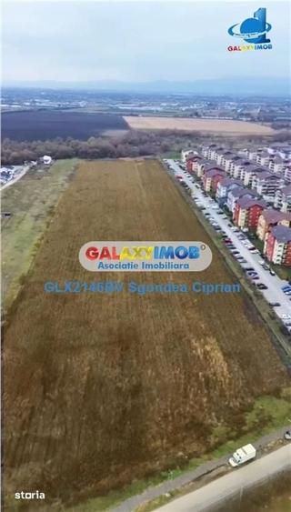Teren Sanpetru Drumu Cu Plopi Ideal Dezvoltare Imobiliara - 3