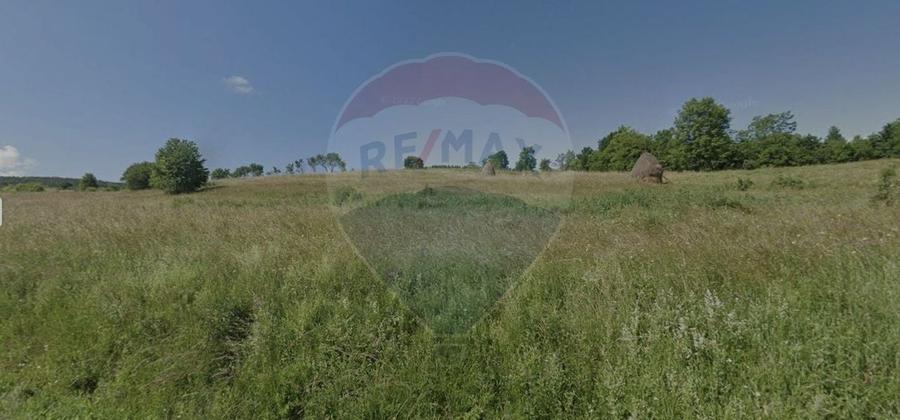 Teren agricol extravilan de 3110 mp, în Mănăstireni