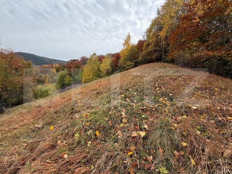 Teren Construcții intravilan de 17684 mp, în Schei