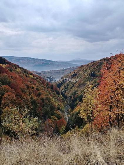 Teren extravilan in Bistra