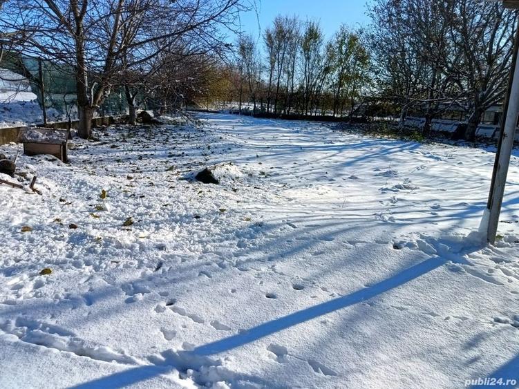 Teren de 4400 mp, în Ceacu