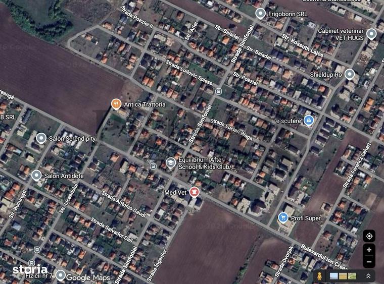 Spațiu comercial, în Dumbrăvița