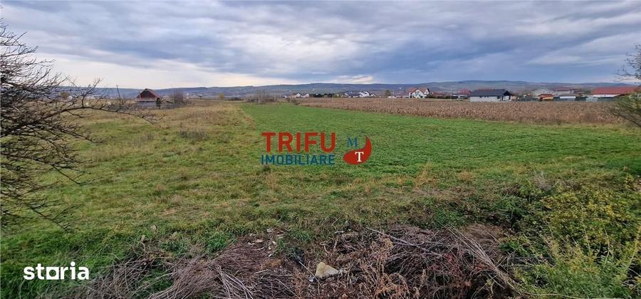 Teren de 2160 mp, în Partoș