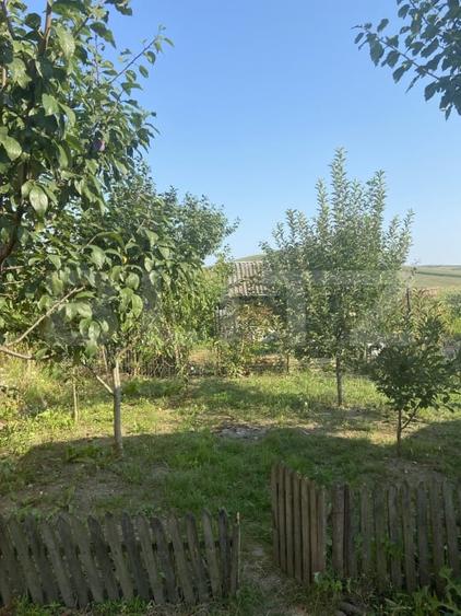 Casă individuală cu 3 camere cu Teren 2750 Mp în Nazna