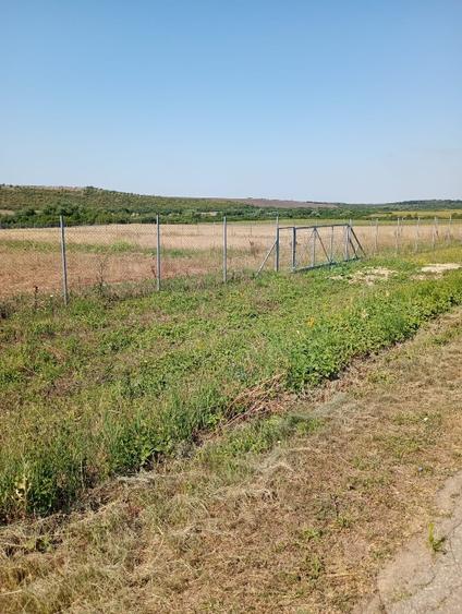 Teren agricol extravilan de 6100 mp, în Pișchia