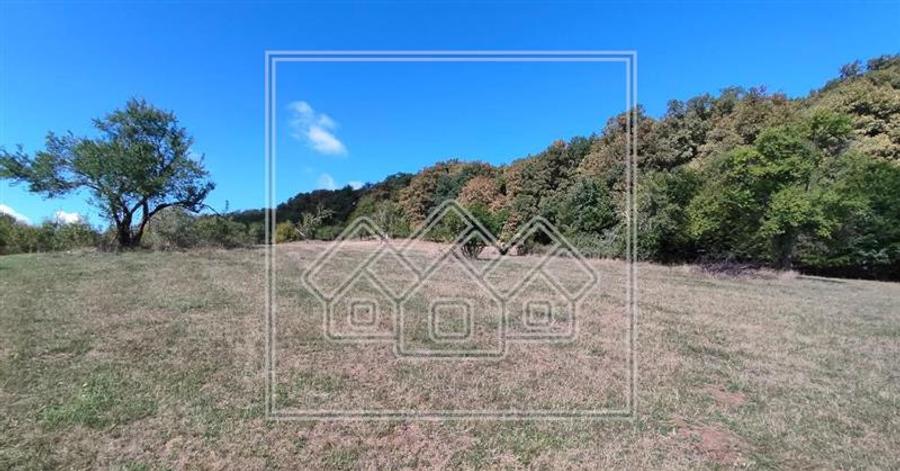 Teren agricol intravilan de 4150 mp, în Aeroport