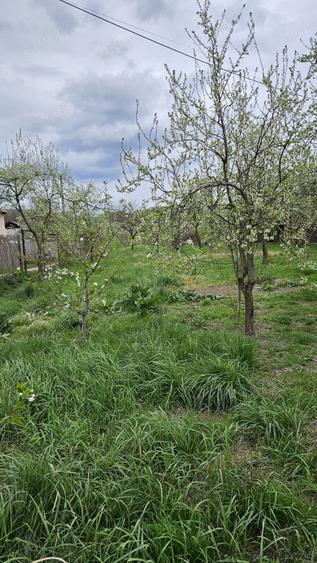 Intravilan in zona superba de deal- accept si schimb - 2