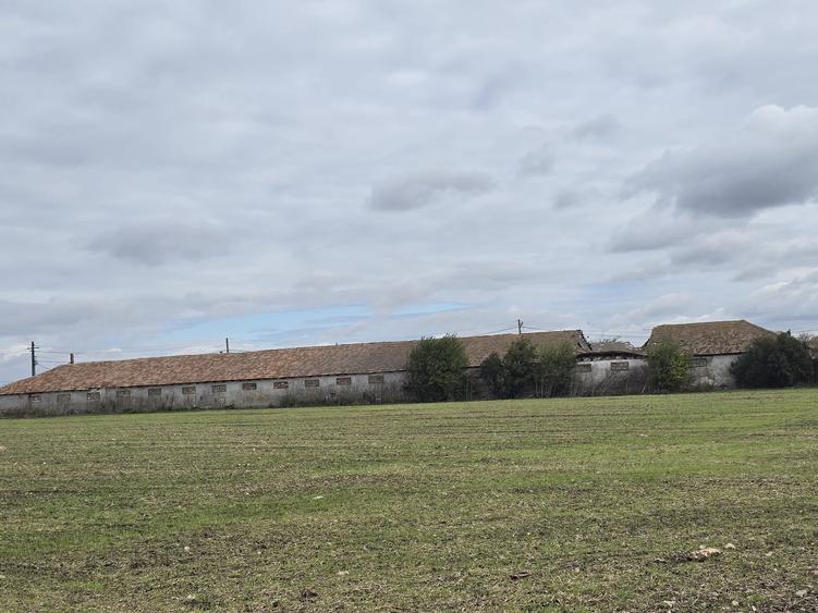 Spațiu industrial, de 3,200 mp, în Amzacea