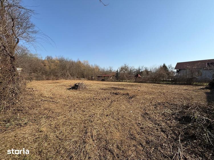 Teren de 1282 mp, în Tăuții-Măgherăuș