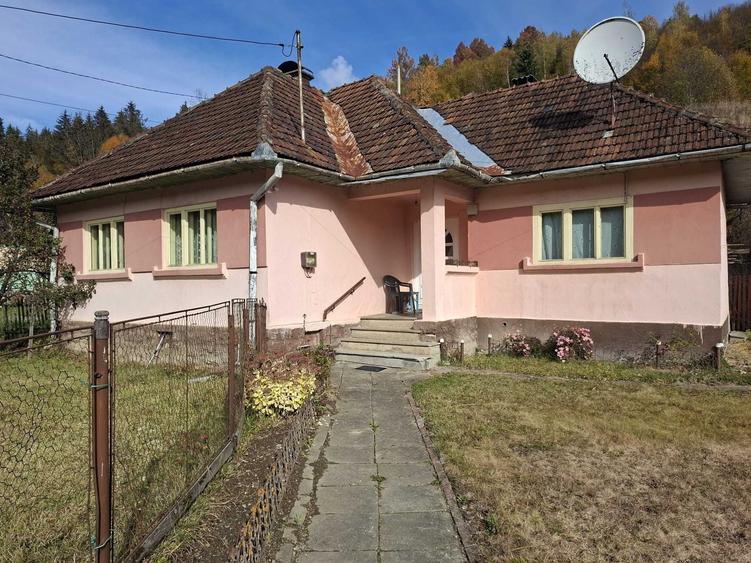 Casă cu 3 camere în Avram Iancu