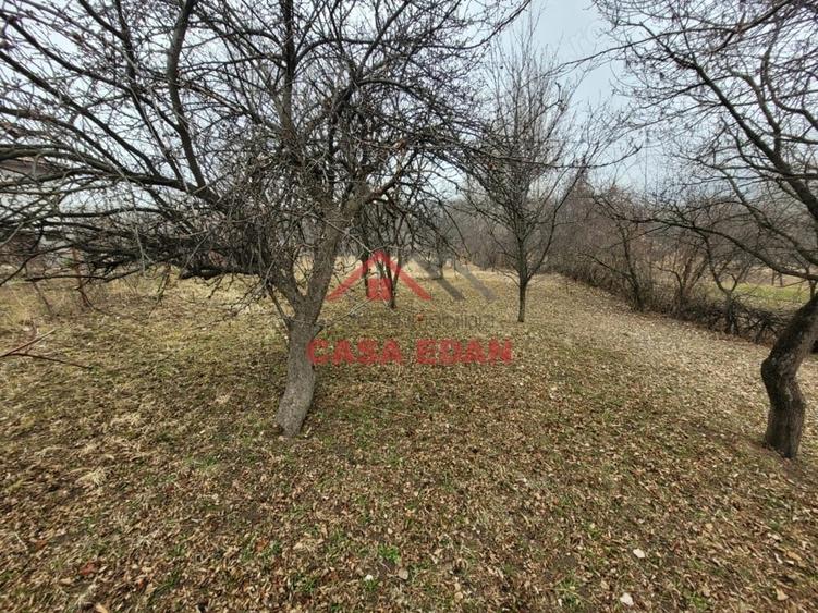 Casă cu Teren 1358 Mp în Gura Beliei