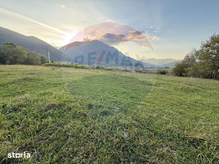 Teren de 646 mp, în Tohănița