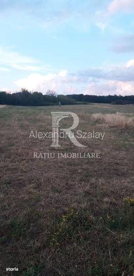 Teren extravilan | Betfia | 9664 Mp | Bihor