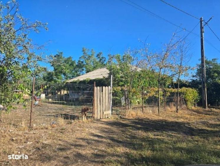 Casa si teren-Com Tamadau Mare, jud. Calarasi - 5