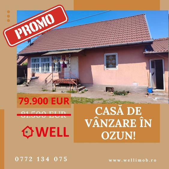 Casă cu 3 camere cu Teren 702 Mp în Ozun