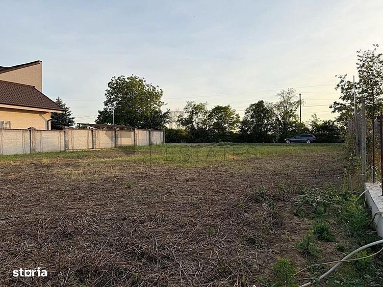 Teren 600 mp de vanzare in Paleu | Str. Principala - 1