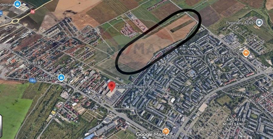 Teren intravilan de 219129 mp, în Albert