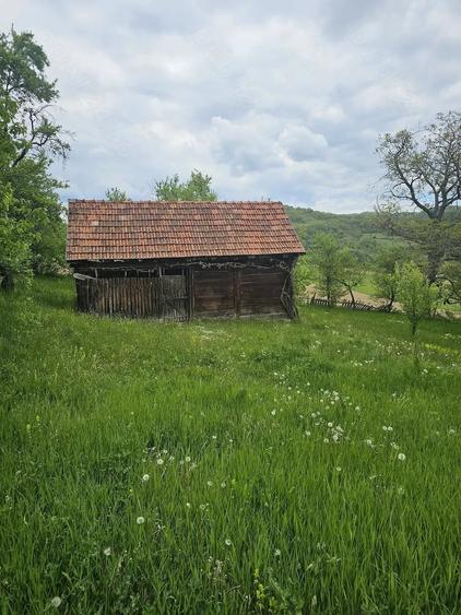 Teren de 50000 mp, în Sichevița