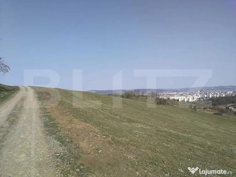 Teren de 15904 mp, în Dâmbu Pietros
