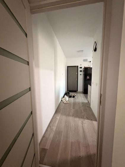 Garsonieră decomandată, mobilată în Ișalnița