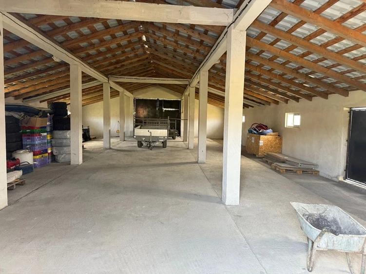 Casă cu 4 camere cu Teren 12000 Mp în Cepari