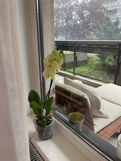 Apartament cu 2 camere, mobilat în Baba Novac