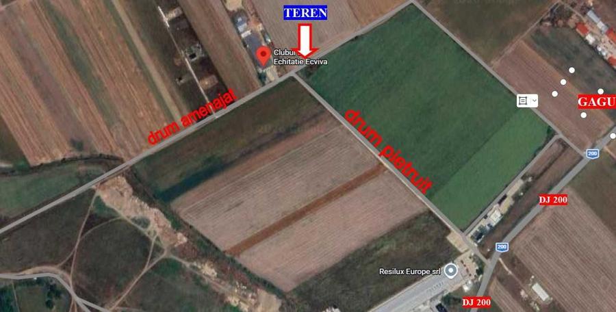 Teren de 10000 mp, în Dascălu