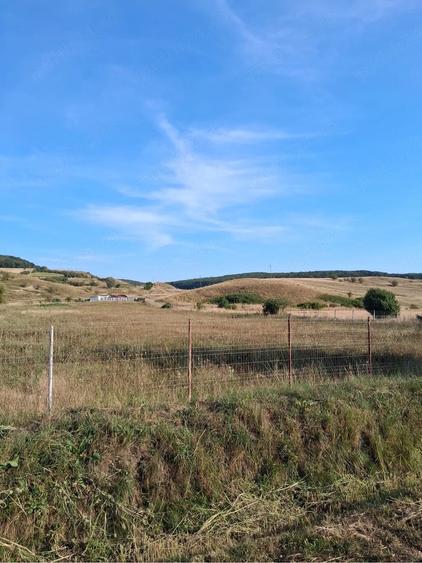 Teren de 2000 mp, în Petelea