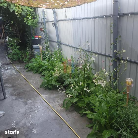 Casa 5 camere, suprafata teren 200 mp, zona Piata Saraca - 13
