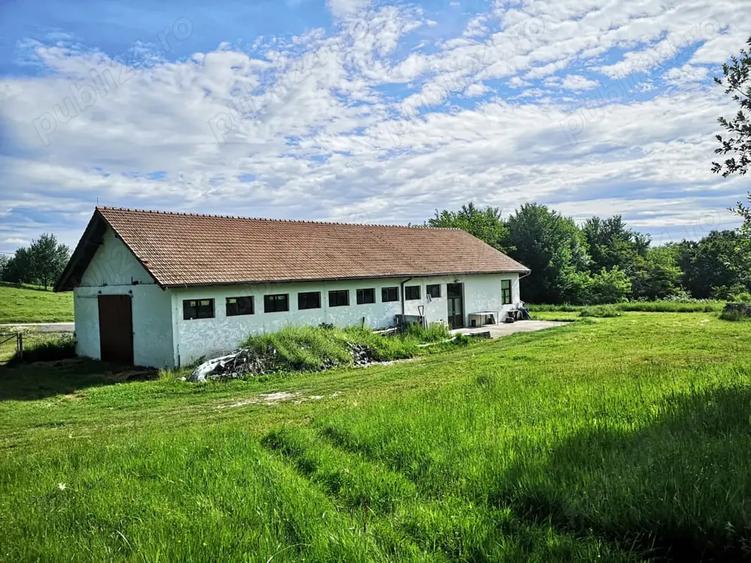 Casă cu 2 camere în Brad