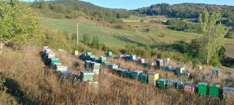Tren cu intravilan pentru proiecte - 1