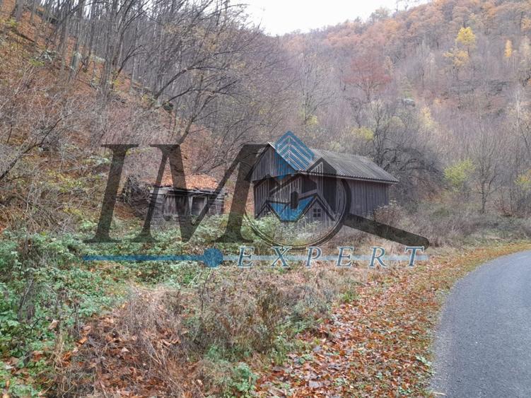Teren extravilan de 2200 mp, în Tău Bistra