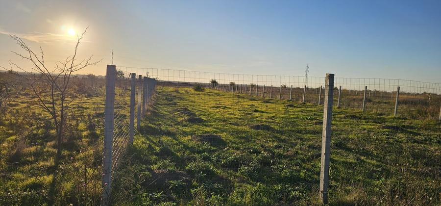 Teren Construcții intravilan de 1000 mp, în Viile Noi