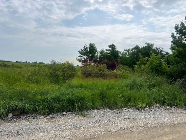 Teren agricol intravilan de 5444 mp, în Săftica