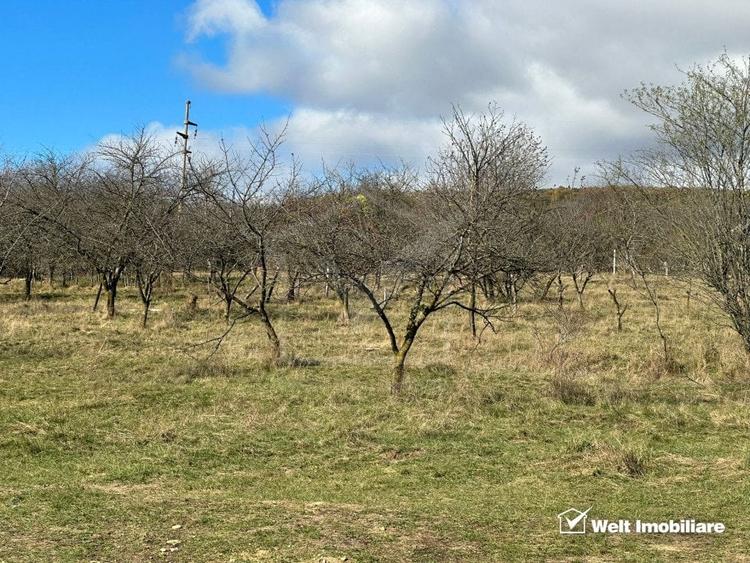Teren agricol extravilan de 4750 mp, în Dâmbul Rotund