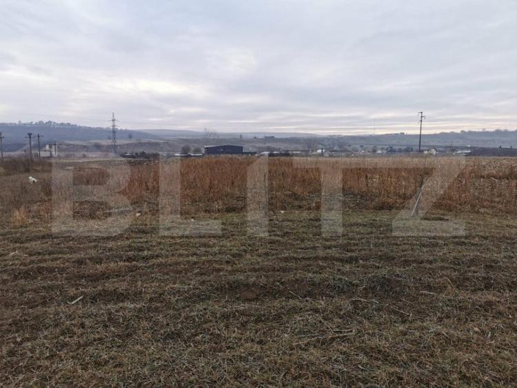 Teren de 5900 mp, în Pătrăuți