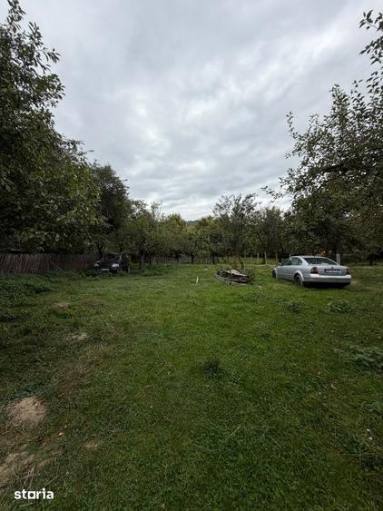 Teren 1.000 mp cu TOATE UTILITATILE - 6