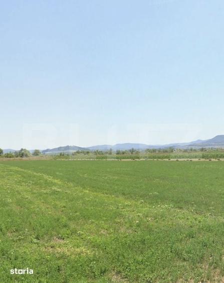 Teren de 17400 mp, în Central
