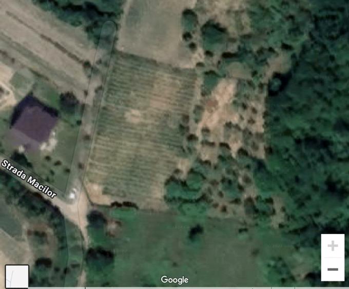 Teren Construcții intravilan de 3500 mp, în Dumbrava 2