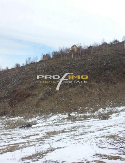 Moeciu, Drumul Carului, teren 3750 mp, 75000 euro - 1