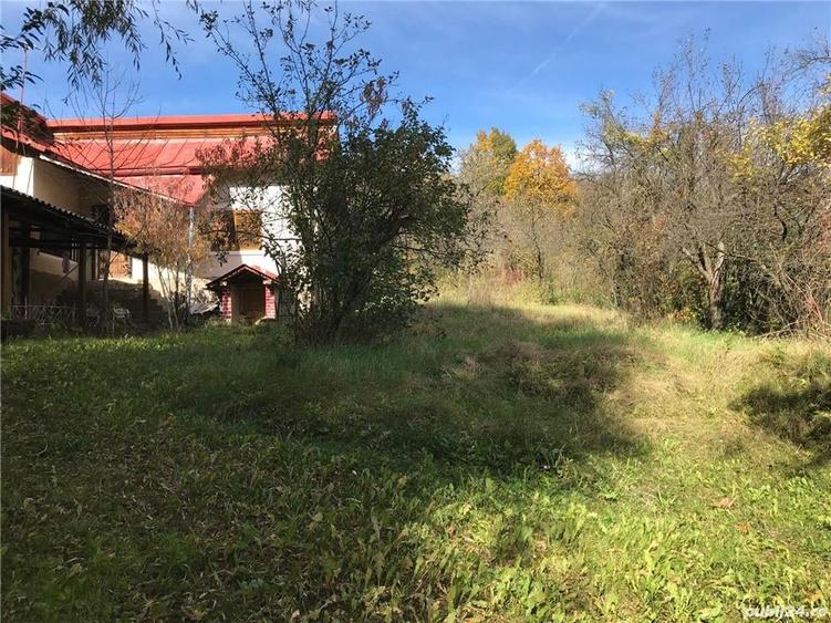 Casă cu 3 camere cu Teren 3000 Mp în Gorganu